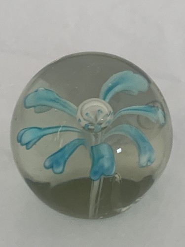 Blown aqua turquoise flowers - blown,