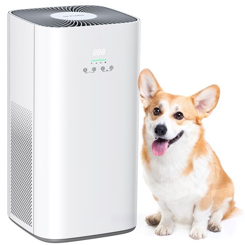 Air purifier for - purifier, home