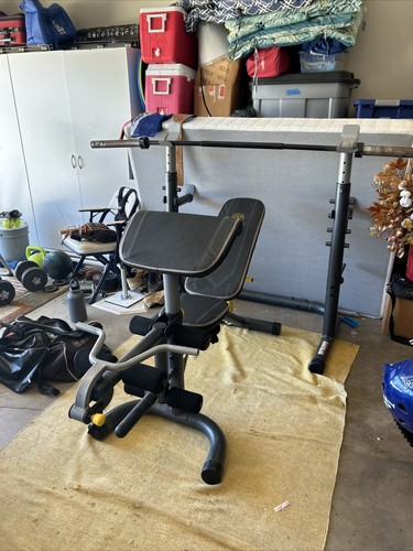 Golds gym bench - bench/, multipurpose
