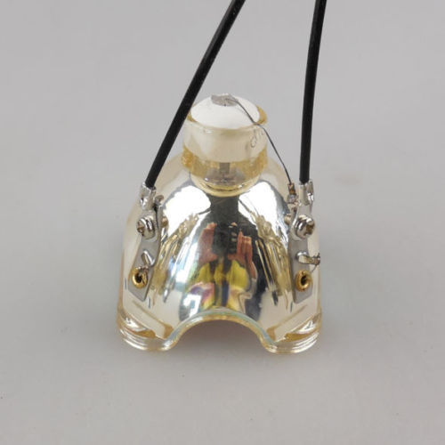 Projector lamp module - projector,