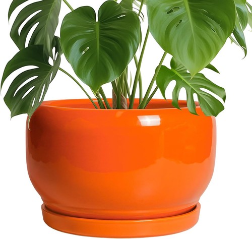 Inch ceramic plant - 10,