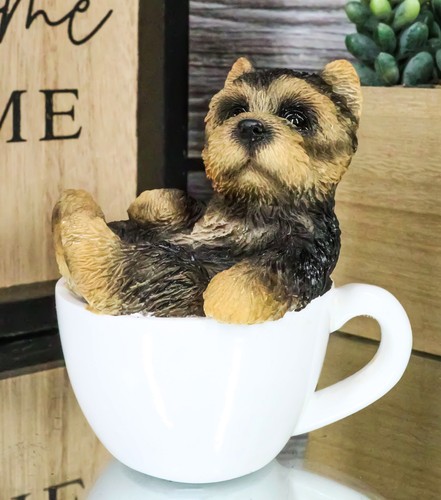 Realistic mini yorkie teacup - mini,