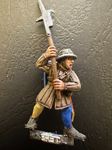 Warhammer bretonnian men - warhammer, at
