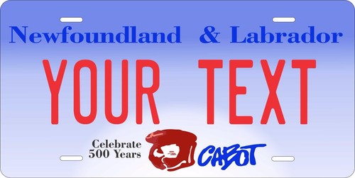 Newfoundland 1996 tag license - newfoundland,