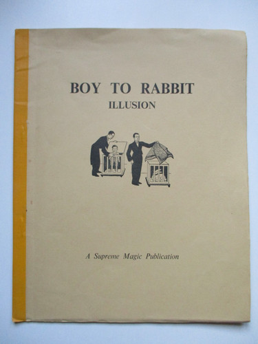 Boy rabbit illusion magic - boy, to