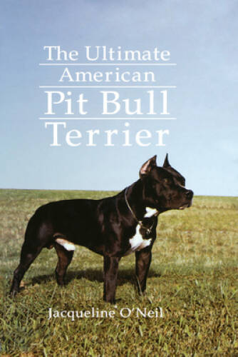 The ultimate american - pit, bull