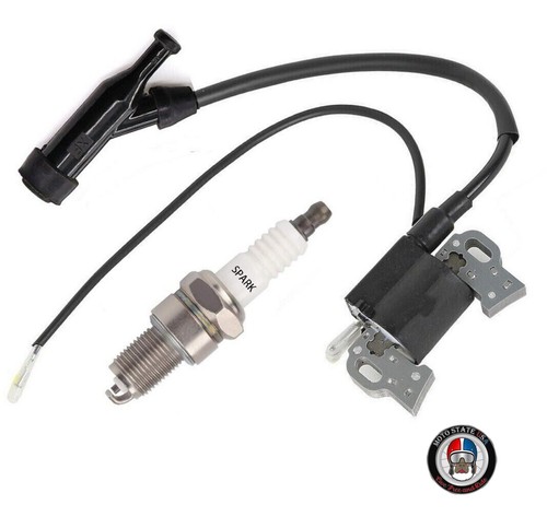 Ignition coil for - ignition,