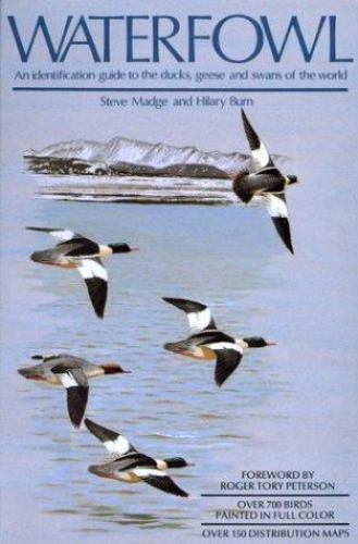 Waterfowl identification - waterfowl:,