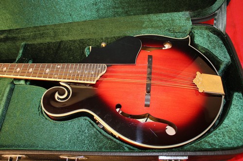 Washburn m3swetwrk florentine - washburn,
