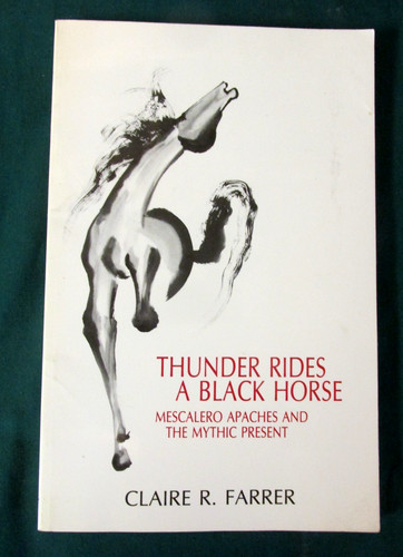 Thunder rides black horse - thunder,