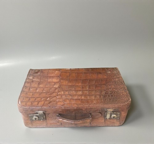 Genuine alligator small - genuine,