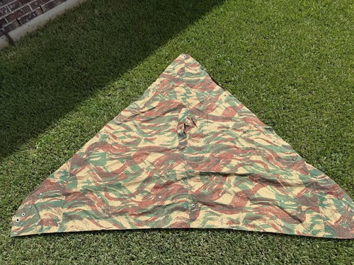 French lizard camouflage - french,