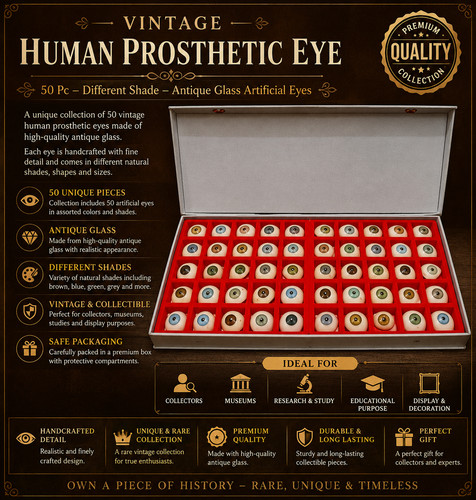 Vintage human prosthetic eye - vintage,