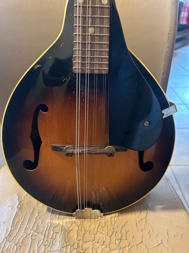 Vintage gibson style - gibson, a-style