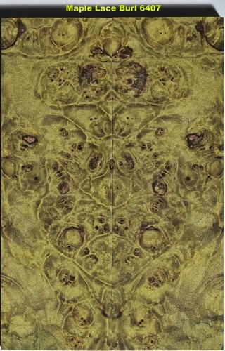 Stabilized mellow yellow maple - yellow,