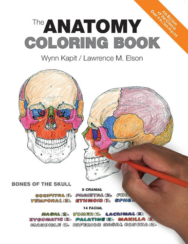 Anatomy coloring book - coloring, the