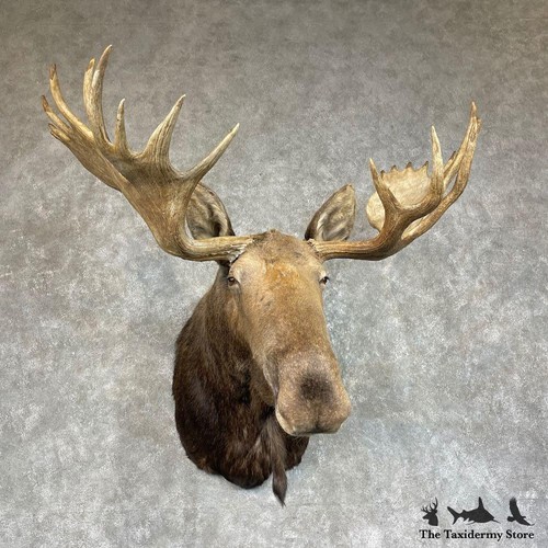 25716 western canada - |,