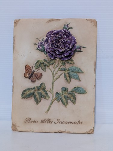 Rosa alba incarnata hand - rosa,