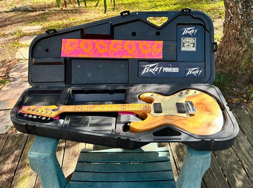 Peavey 1980 made - t-15, in