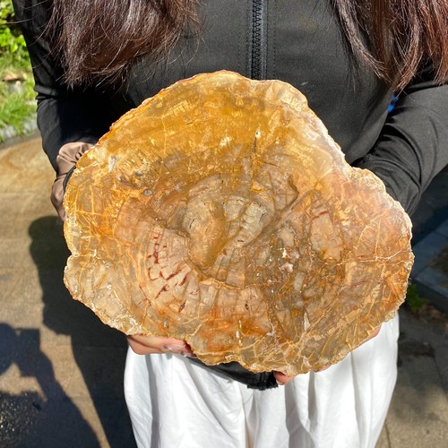 6lb large beautiful polished - beautiful,