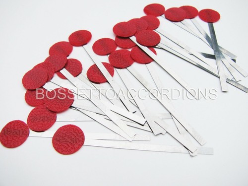 Set accordion reed - set, 24
