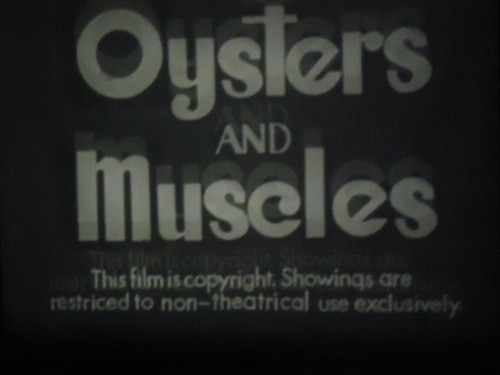 16mm four castle - 16mm,