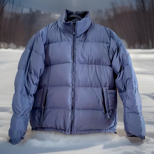 Bear usa extreme weather - bear,