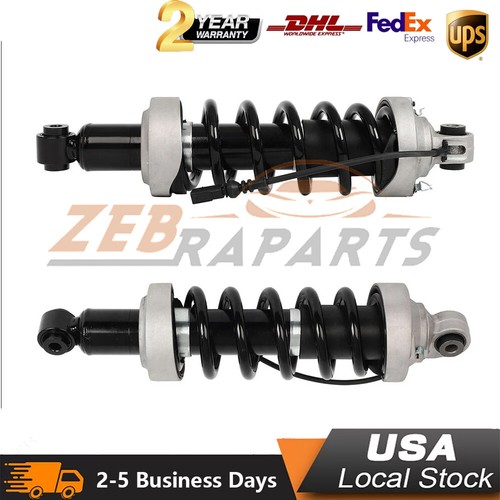 Rear pair air shock strut - pair,