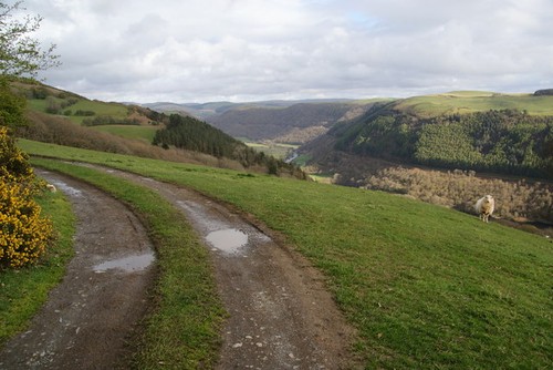 Photo track above the vale - a3,