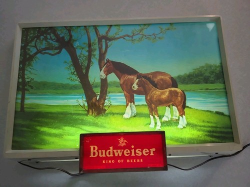 Budweiser clydesdale horse - budweiser,