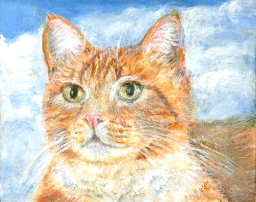 Bcb orange tabby - bcb, print