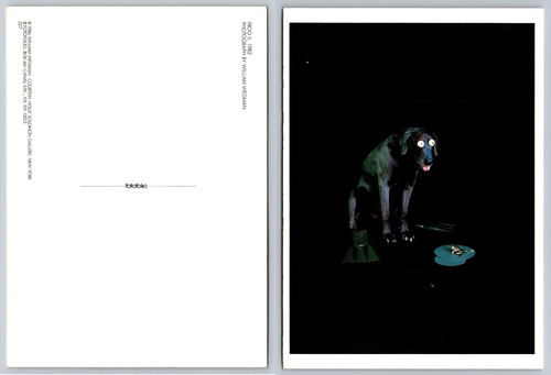 William wegman frog - wegman, 1982