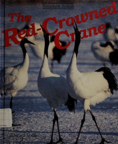 The red crowned - the, crane