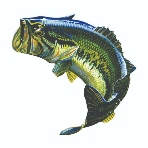 Large mouth bass sticker - large,