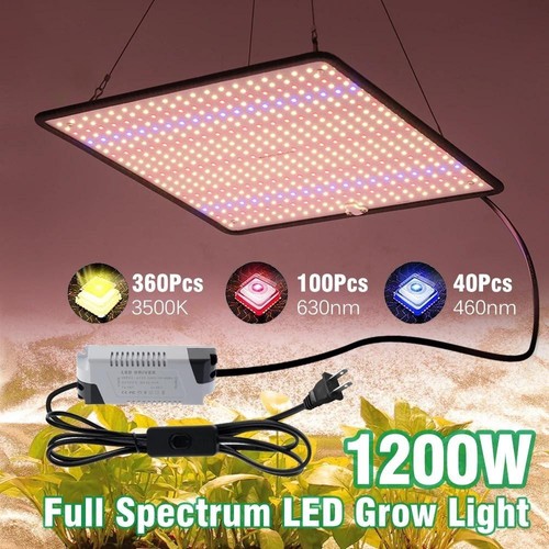 Grow light 1200w - light, spectrum